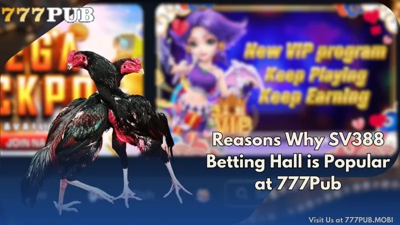Reasons Why SV388 Betting Hall is Popular at 777Pub