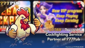 SV388 – Trusted Cockfighting Service Partner of 777Pub